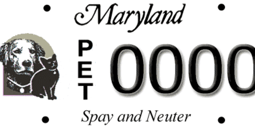 Spay & Neuter