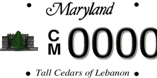 Tall Cedars of Lebanon