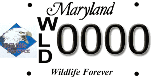 Wildlife Forever