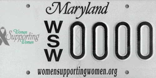 Women Supporting Women, Inc.
