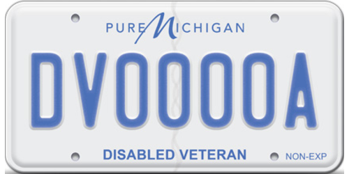 Disabled veteran