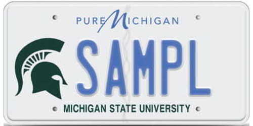 Michigan State University