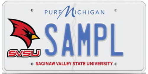 Saginaw Valley State University