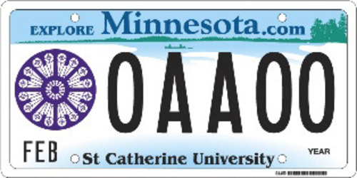 Collegiate: St. Catherine’s University