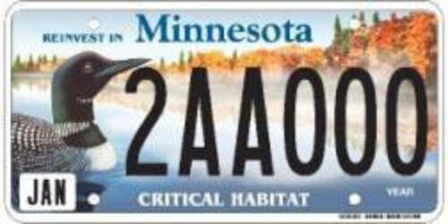 Critical Habitat (DNR Conservation) - Loon