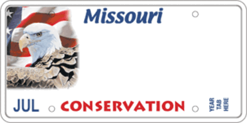Conservation (Bald Eagle)