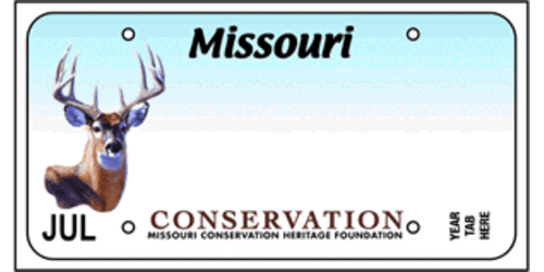 Conservation (Deer)