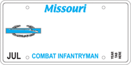 Combat Infrantryman