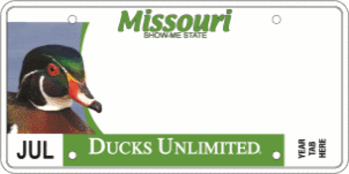 Ducks Unlimited