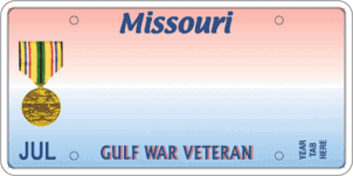 Gulf War Veteran