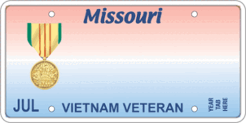 Vietnam Veteran