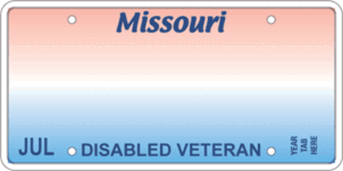 Disabled Veteran