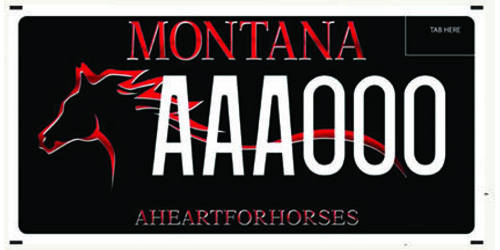 A Heart for Horses Inc