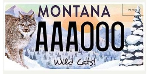 Alliance for the Wild Rockies