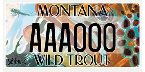 Big Horn River Alliance