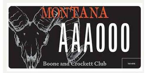 Boone and Crockett Club