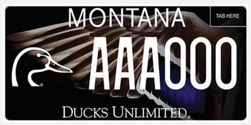 Ducks Unlimited, Inc.