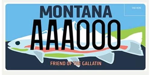 Gallatin River Task Force