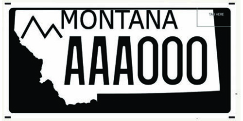 Montana Safety Service Council