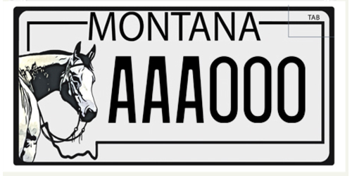 Montana Cutting Horse Association