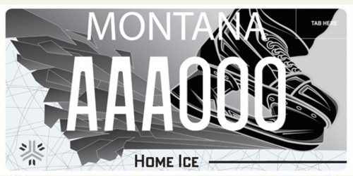 Gallatin Ice Foundation