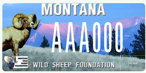 Montana Wild Sheep Foundation
