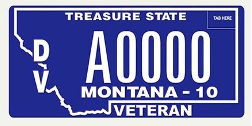 Disabled Veteran
