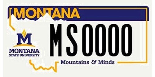 Montana State University – Mountains & Minds
