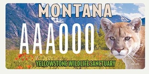 Yellowstone Wildlife Sanctuary