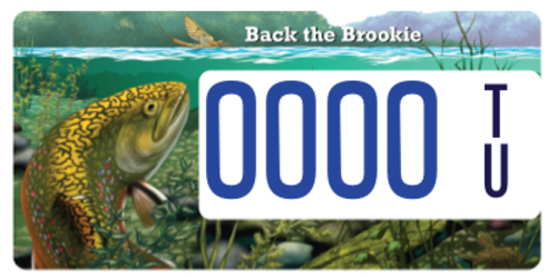 North Carolina Trout Unlimited