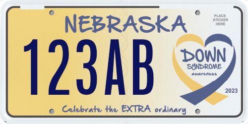 Down Syndrome Awareness license plates