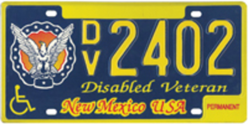 Disabled Veteran Wheelchair