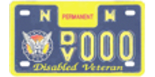 100% Disabled Veteran