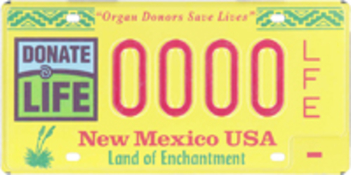 Organ Donor