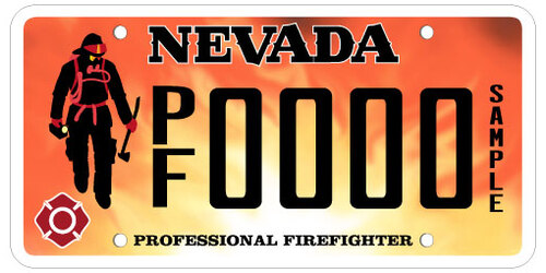 Professional Firefighter