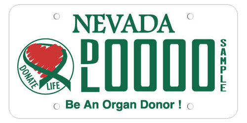 Organ Donor