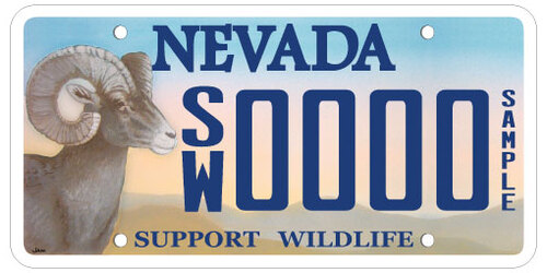 Support Wildlife