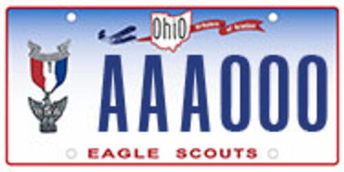 eagle scouts