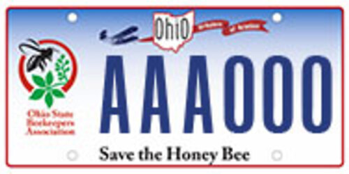 honey bee