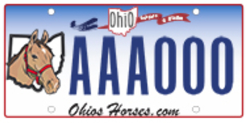 ohio horses