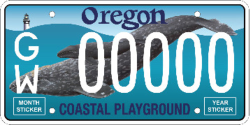 Gray Whale