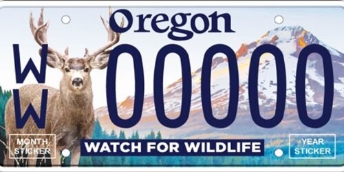 Watch for Wildlife