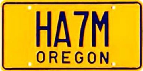 Amateur (HAM) Radio Operator