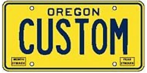 Motor Home - Custom