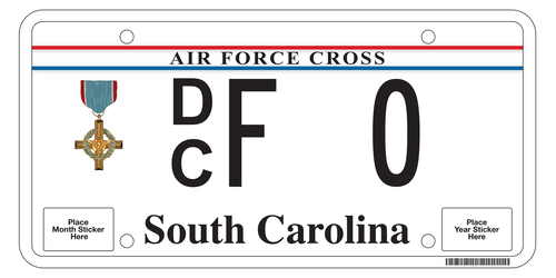 Air Force Distinguished Service Cross