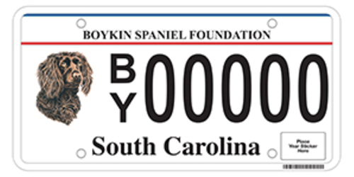 Boykin Spaniel Foundation