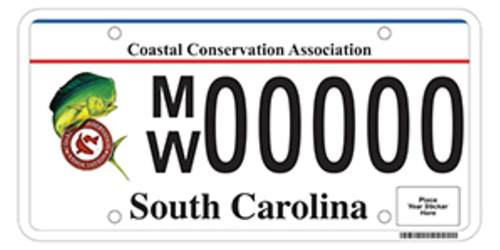 Coastal Conservation Association
