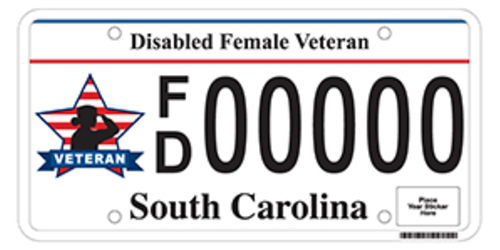 Disabled Female Veteran