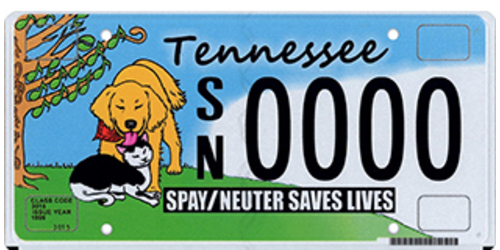 Animal Friendly Wildlife & Animal
