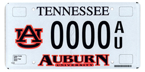 Auburn Collegiate